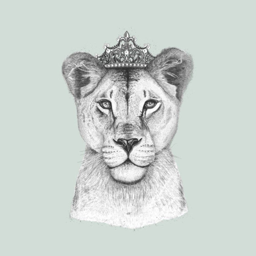 New but figuring it out!